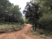 Reobertura de l’accés al Parc Natural de Collserola a Sant Feliu de Llobregat
