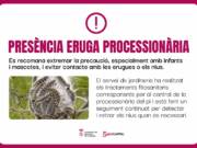 L’Ajuntament de Sant Feliu intensifica el control de l’eruga processionària als seus jardins