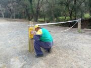 Restriccions per prevenir la pesta porcina africana a Sant Feliu de Llobregat