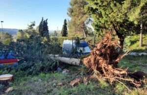 El 112 rep 376 trucades pel fort vent fins a les 11 hores, la majoria a l’Empordà