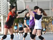 Sant Feliu de Llobregat acollirà la Jornada Esportiva Juga Verd Play el 18 d’abril