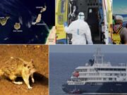 Canàries podria convertir-se en l’epicentre reputacional europeu de l’alerta per hantavirus