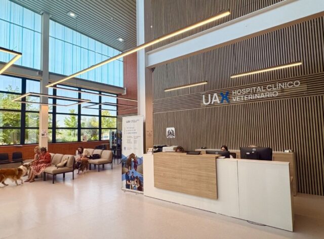 hospital_clinico_veterinario_UAX-1x1.jpg