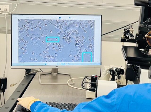 sperm_search-1x1.jpg