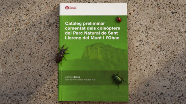 noticia_1793110626.jpg